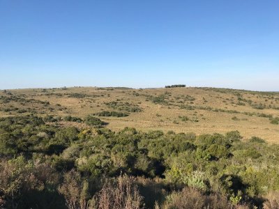 Campo en Venta en Cerro Largo y Treinta y Tres 