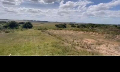 Vende Gran campo Ganadero- Forestal