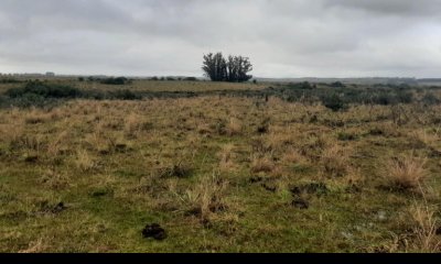Campo en Maldonado - Garzon en venta.