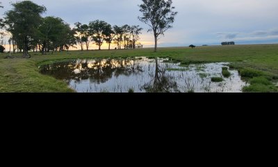 En venta campo en Treinta y Tres, ubicado a 12 kilómetros de Vergara