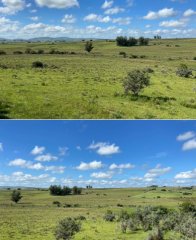 Campo ganadero en Pueblo Edén 40has
