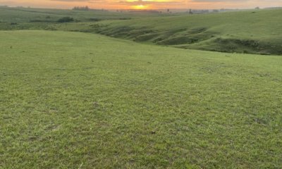 Vende excelente campo en  Jose Ignacio, ideal para fin turistico