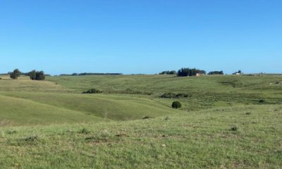 Campo en Venta en Garzón , Maldonado