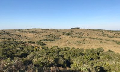 Campo en Venta en Cerro Largo y Treinta y Tres