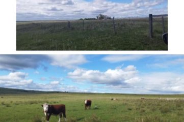 Vende campo en Salto, Costas de Arerungua.