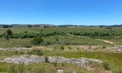 Campo a la venta en Abra del Perdomo  de 44has