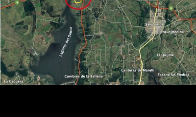 Campo apto para fraccionar en Laguna del Sauce