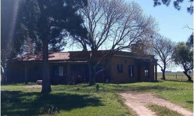 Vende Campo de 2 padrones en Treinta y tres.