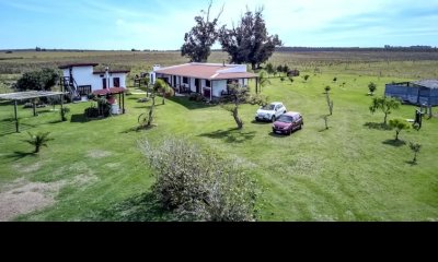 Vende campo de 50 hectareas, con casa en Capilla de Cella.