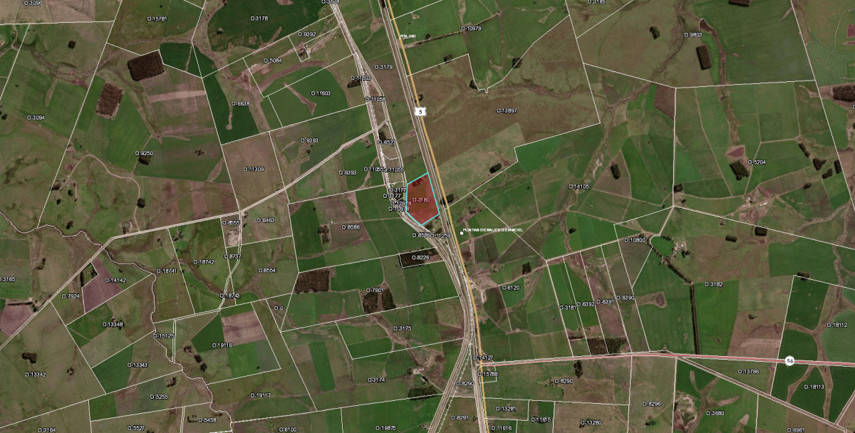 Campo en 