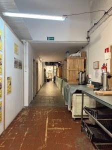 excelentes locales con renta en ciudad vieja - montevideo - ndm22670l