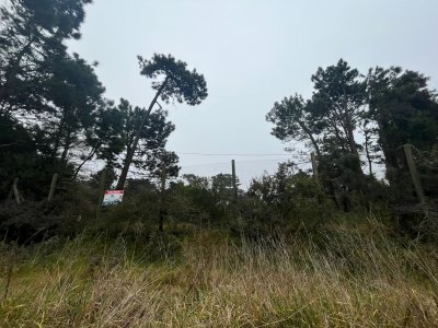 Terreno ubicado en zona residencial.