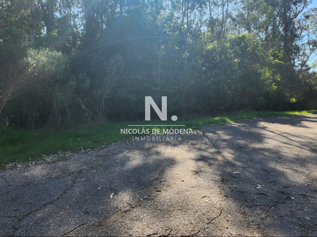 Las Cumbres - GoPunta - Portal Inmobiliario de Punta del Este - Maldonado