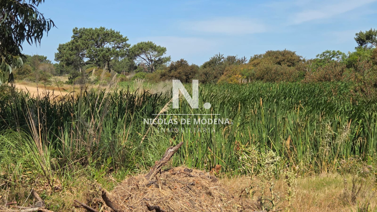 Vende terreno de 4223 m2 en Jose Ignacio - NDM28103T