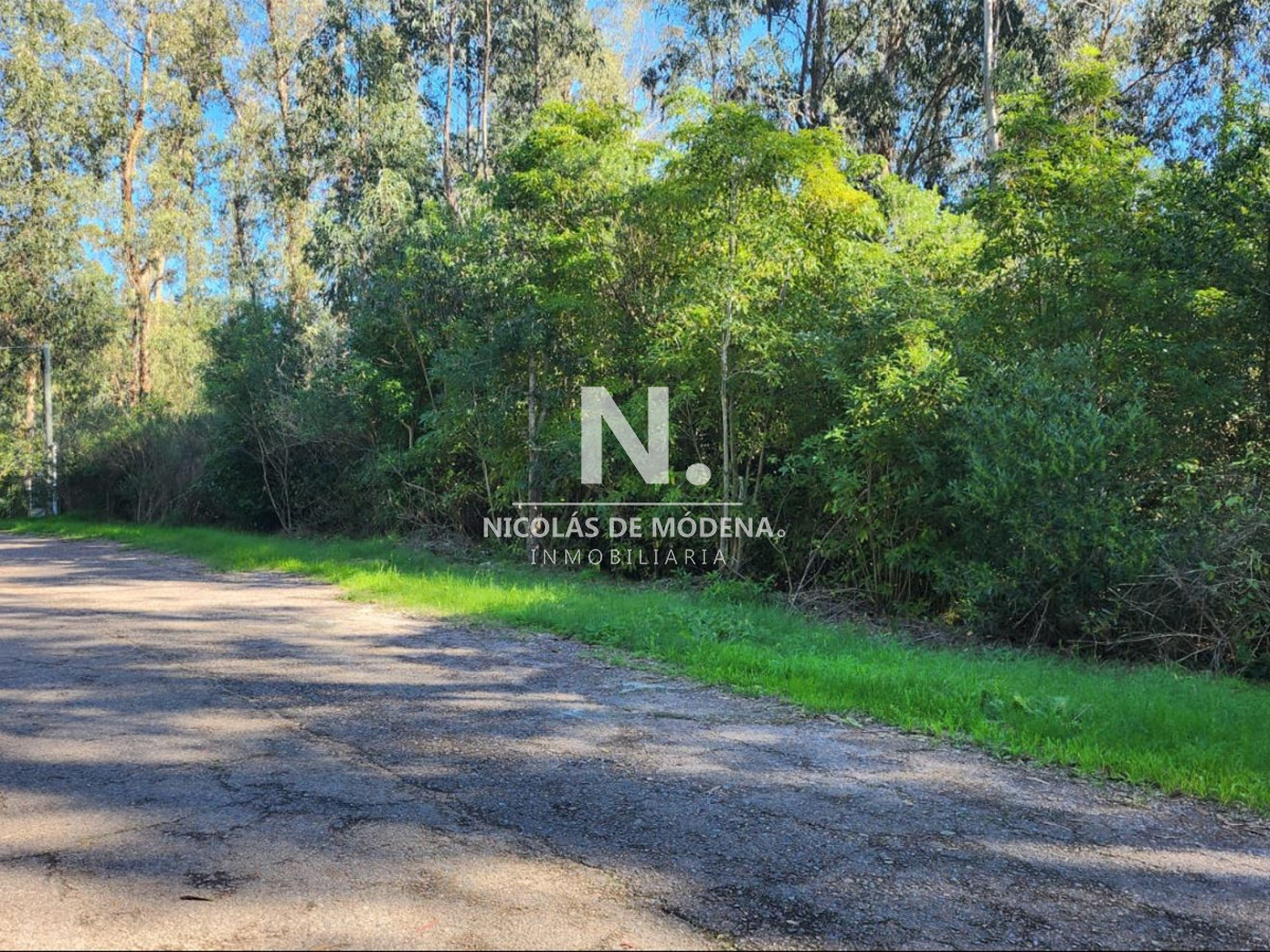 Las Cumbres - GoPunta - Portal Inmobiliario de Punta del Este - Maldonado