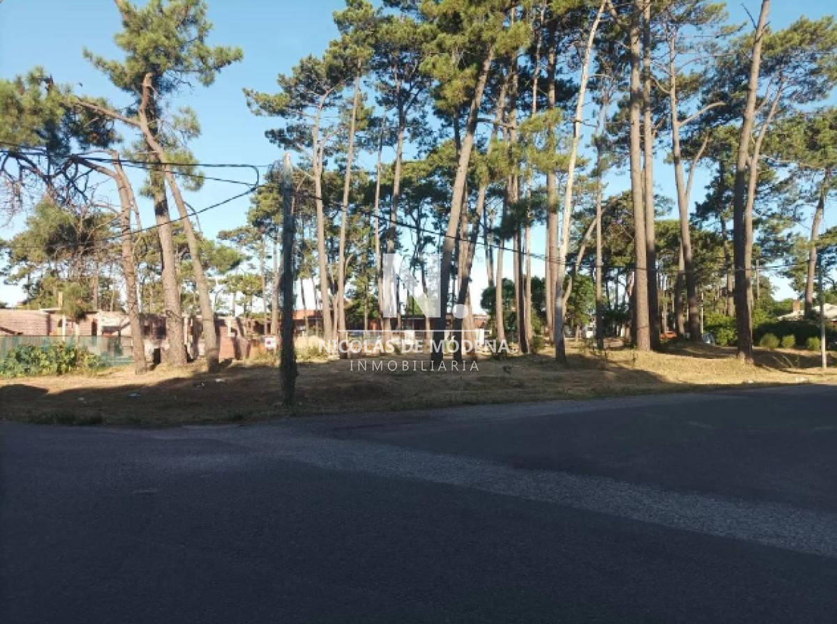Pinares - GoPunta - Portal Inmobiliario de Punta del Este - Maldonado