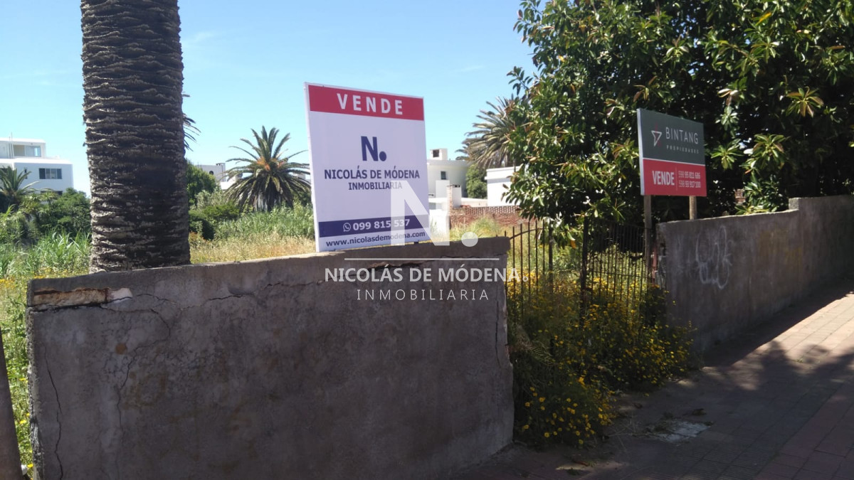 Terreno