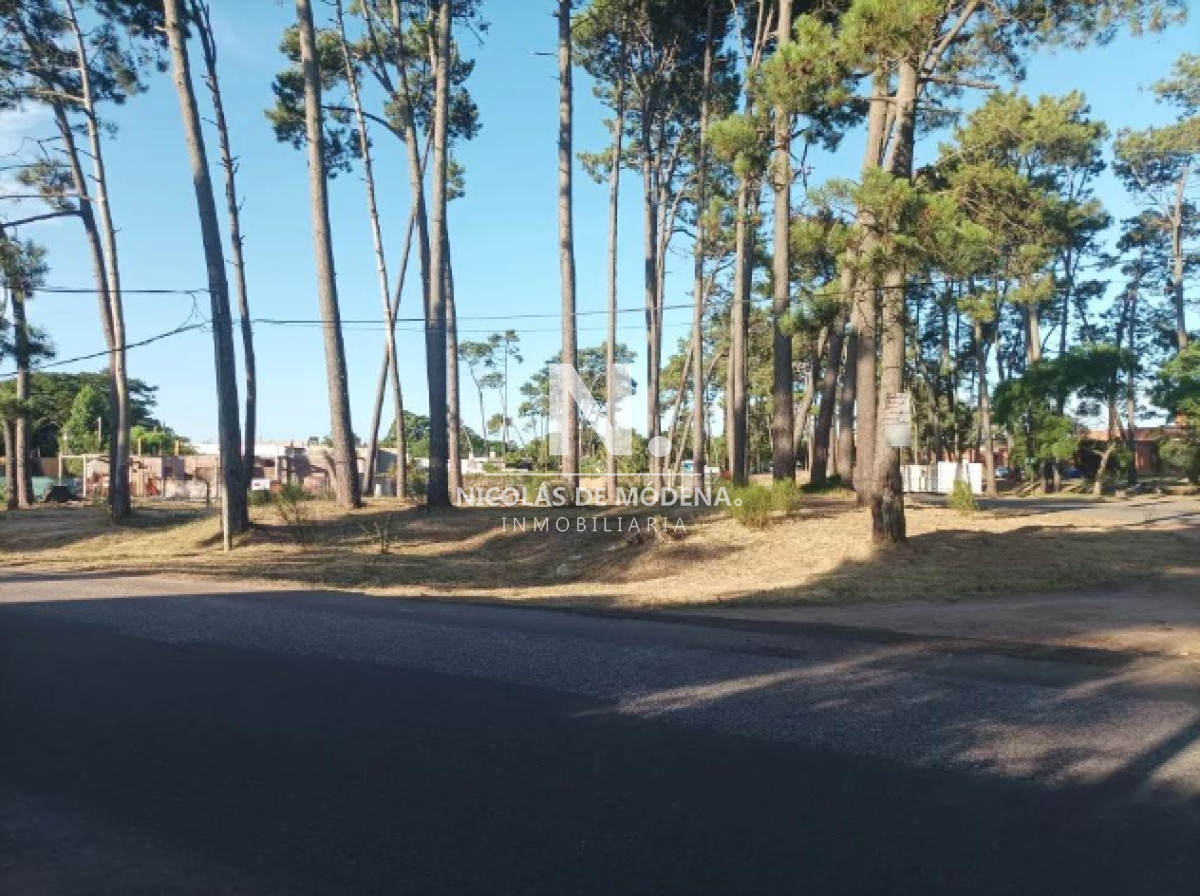 Pinares - GoPunta - Portal Inmobiliario de Punta del Este - Maldonado
