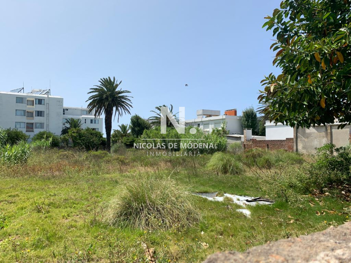 Terreno