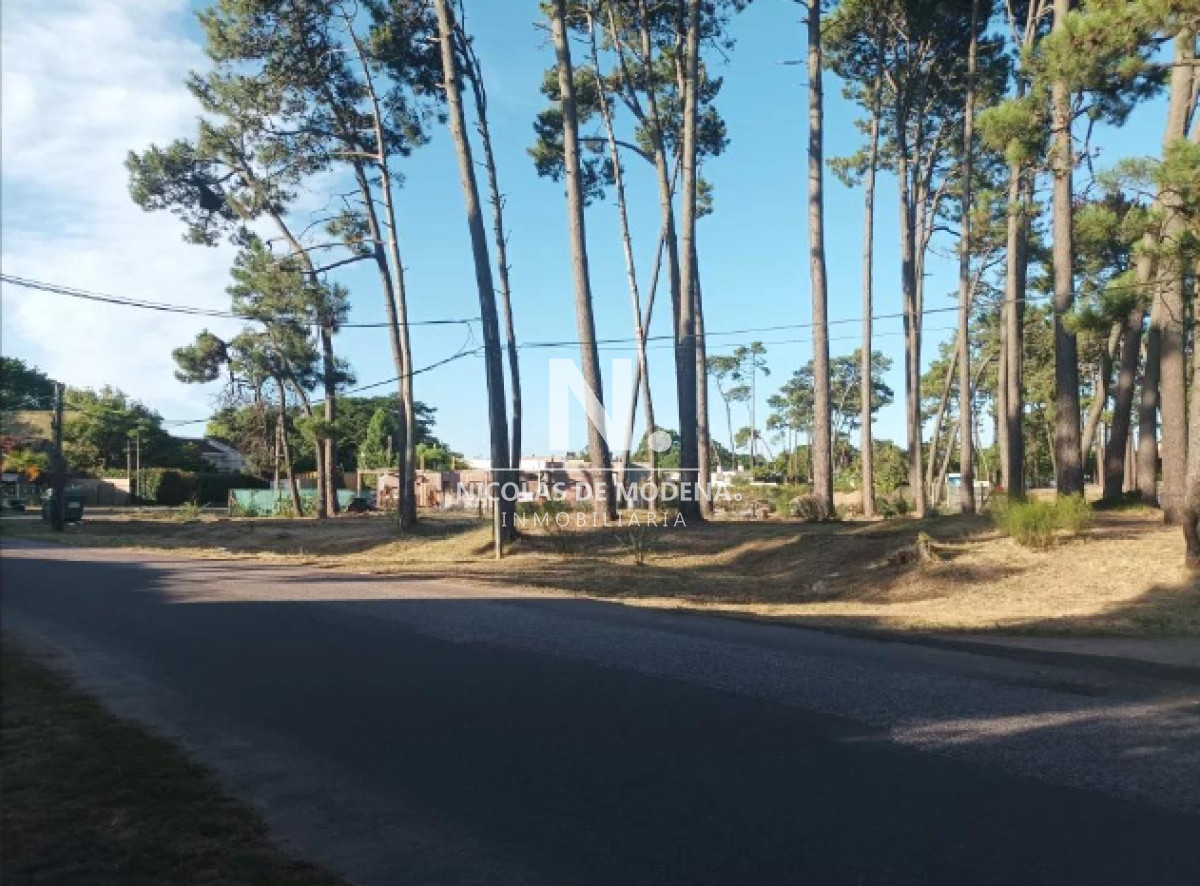 Pinares - GoPunta - Portal Inmobiliario de Punta del Este - Maldonado