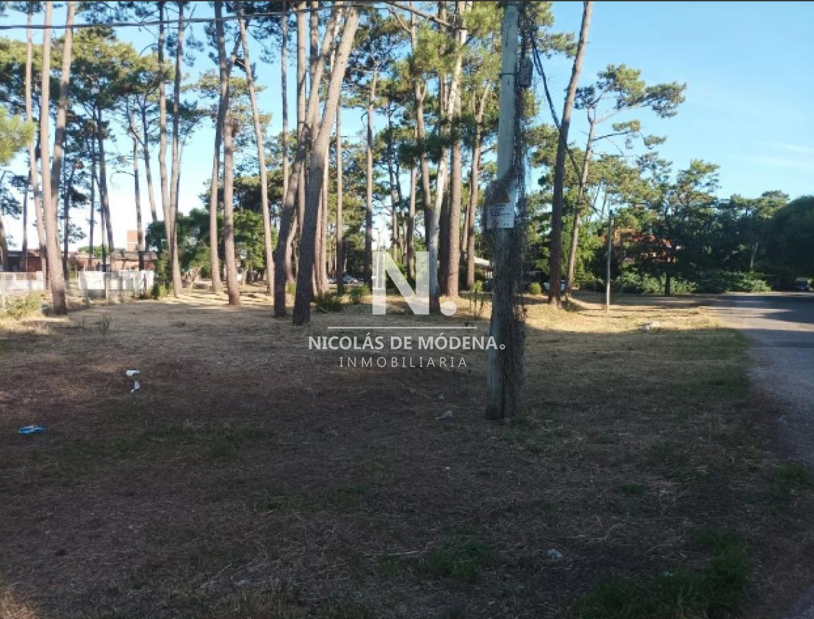 Pinares - GoPunta - Portal Inmobiliario de Punta del Este - Maldonado