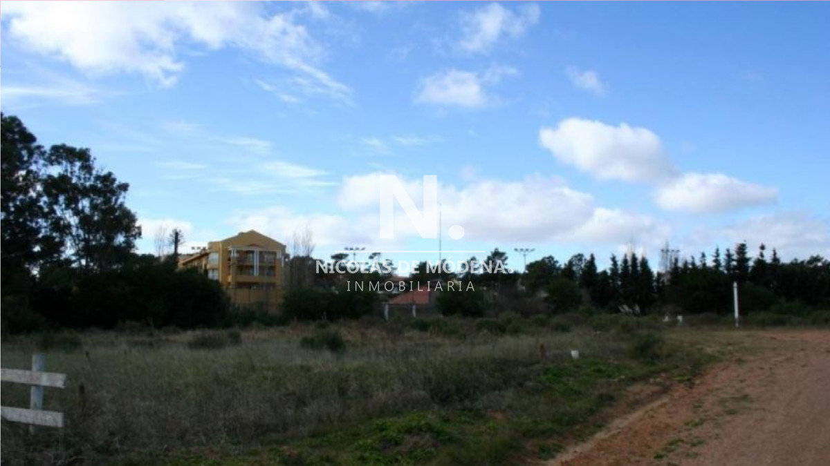 Terreno