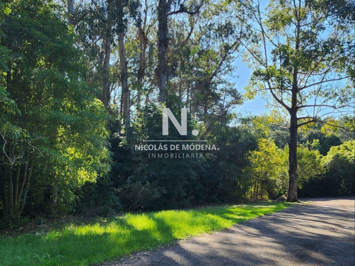 Las Cumbres - GoPunta - Portal Inmobiliario de Punta del Este - Maldonado