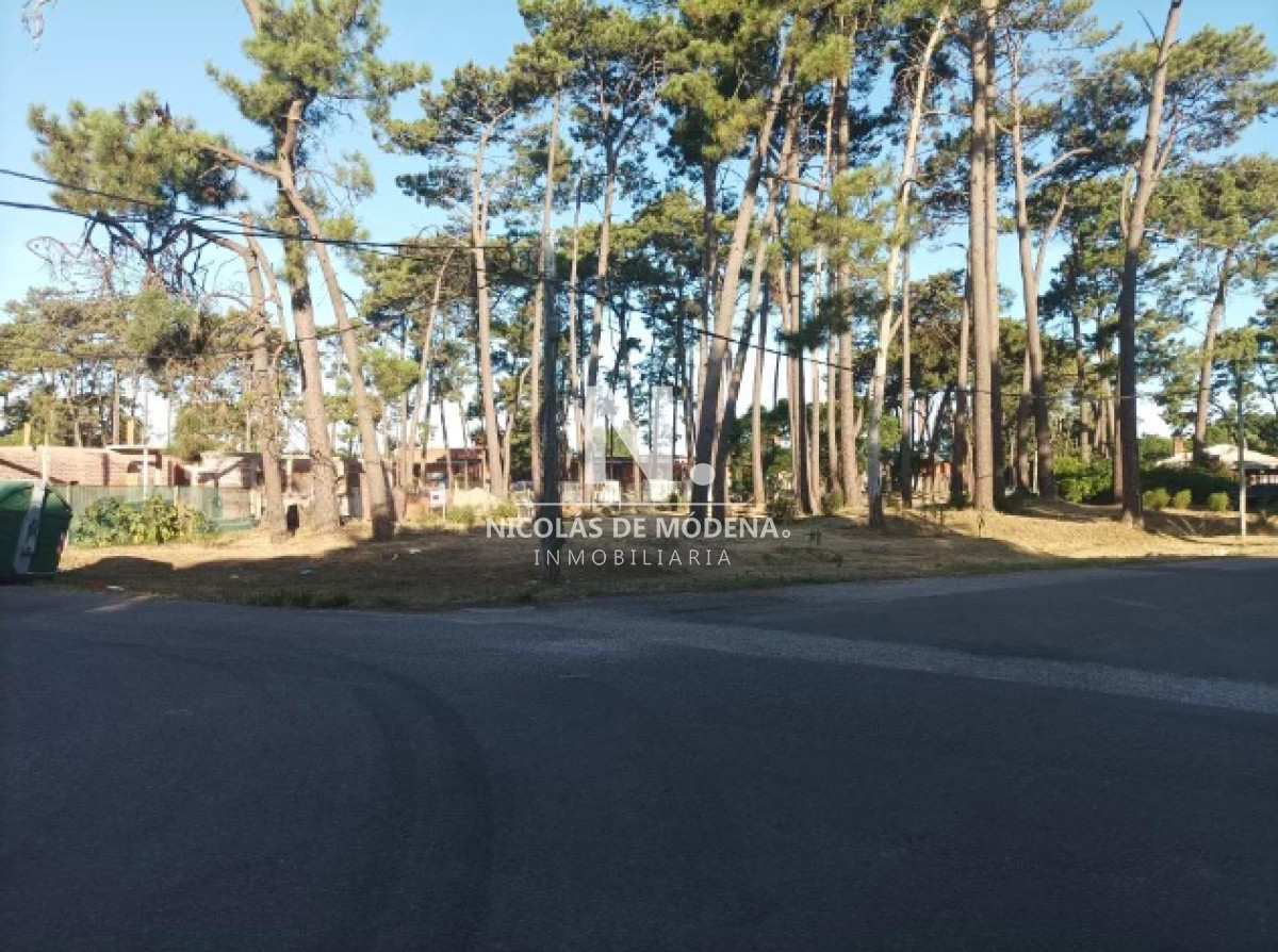 Pinares - GoPunta - Portal Inmobiliario de Punta del Este - Maldonado