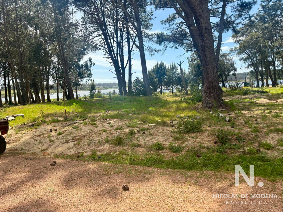 Lote en venta en Reserva Montoya, La Barra. - GoPunta - Portal Inmobiliario de Punta del Este - Maldonado