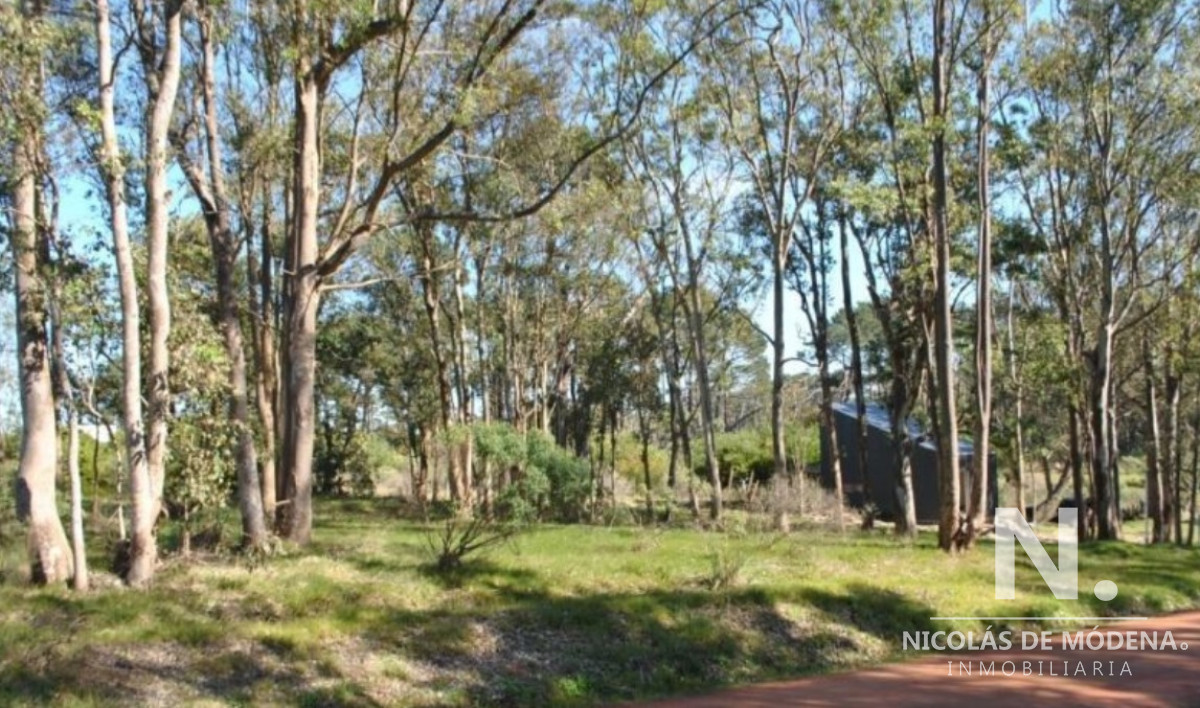 La Barra - GoPunta - Portal Inmobiliario de Punta del Este - Maldonado