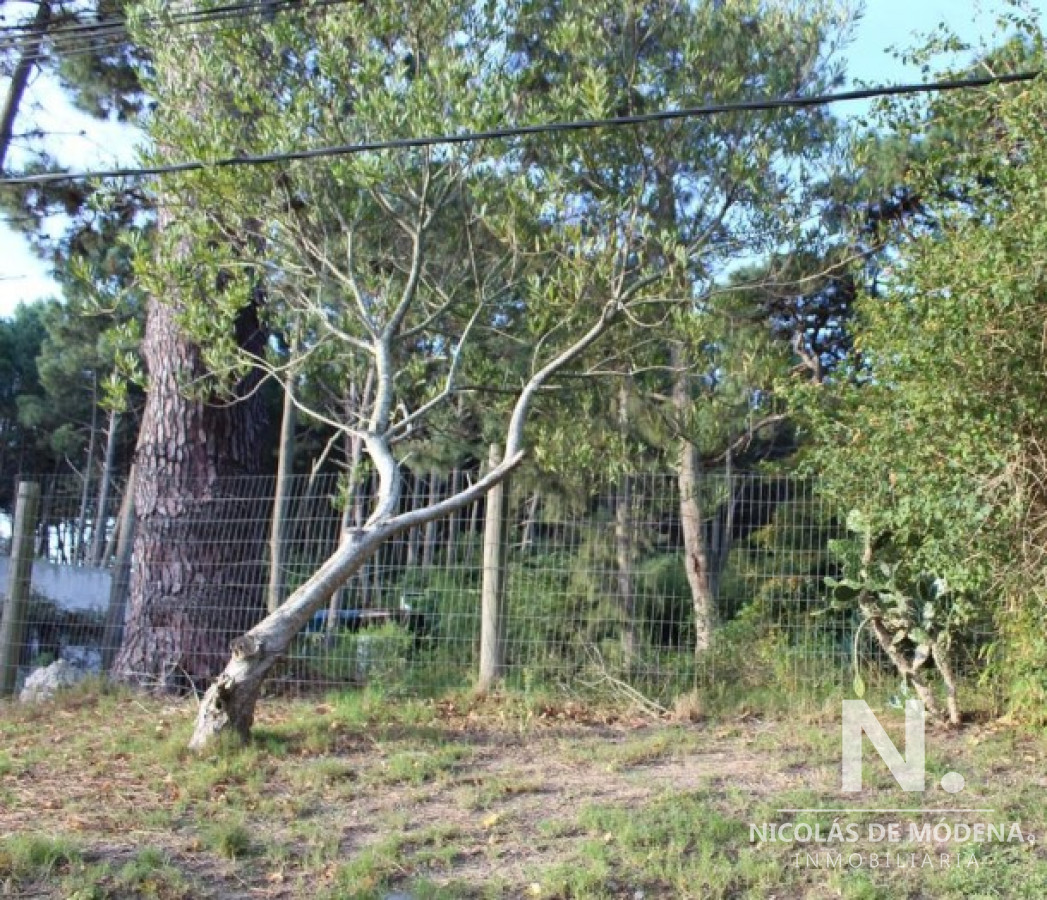 Pinares - GoPunta - Portal Inmobiliario de Punta del Este - Maldonado