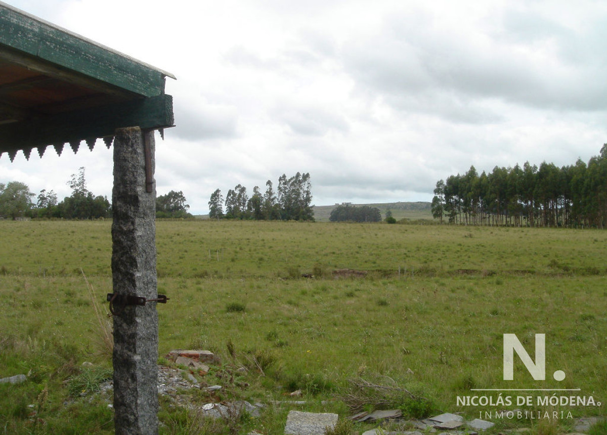 Camino Eguzquiza - GoPunta - Portal Inmobiliario de Punta del Este - Maldonado