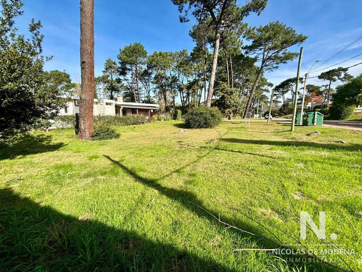 Roosevelt - GoPunta - Portal Inmobiliario de Punta del Este - Maldonado