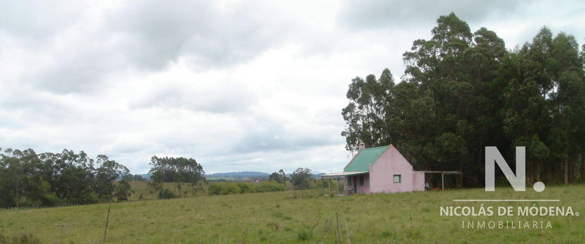 Camino Eguzquiza - GoPunta - Portal Inmobiliario de Punta del Este - Maldonado