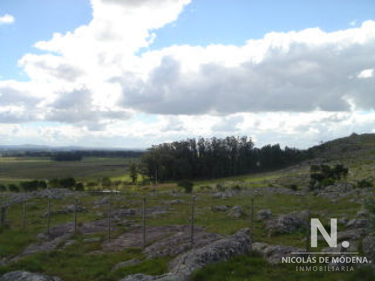 Camino Eguzquiza - GoPunta - Portal Inmobiliario de Punta del Este - Maldonado