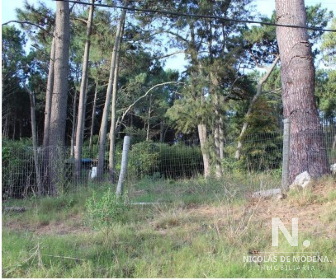 Lote en venta en Pinares.