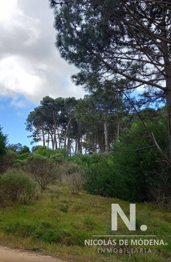 La Barra - GoPunta - Portal Inmobiliario de Punta del Este - Maldonado