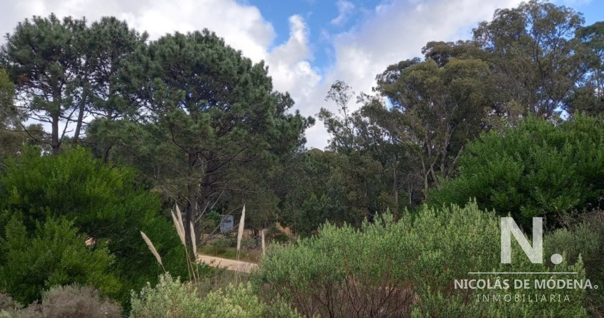La Barra - GoPunta - Portal Inmobiliario de Punta del Este - Maldonado