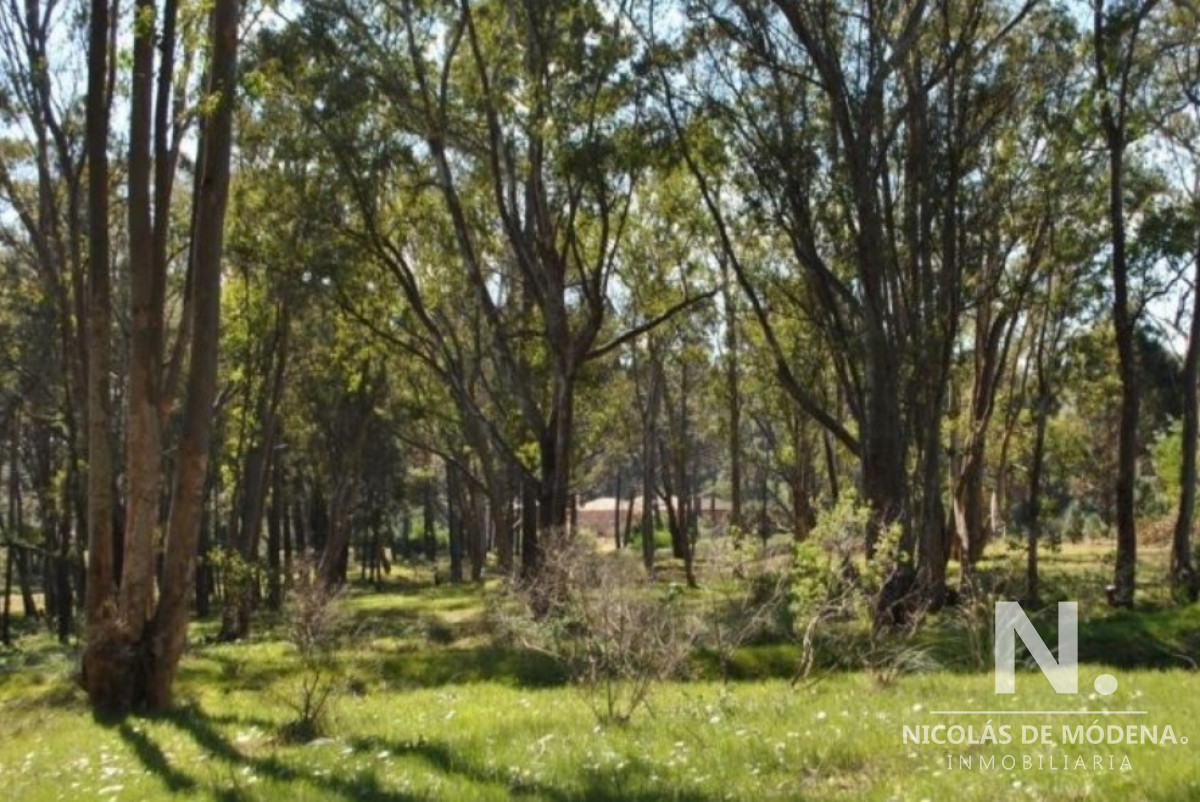 La Barra - GoPunta - Portal Inmobiliario de Punta del Este - Maldonado