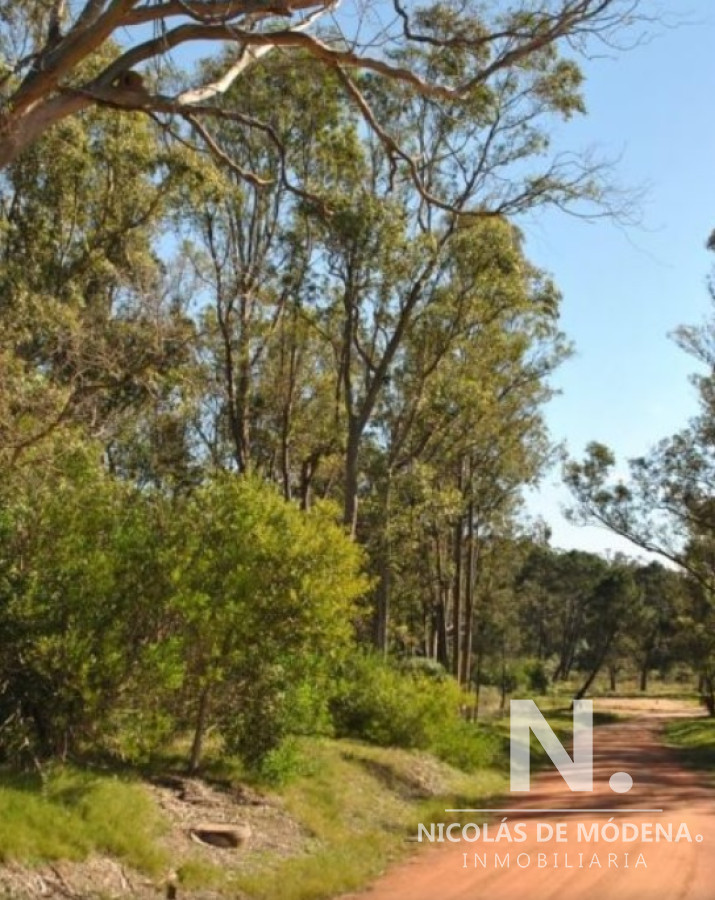 La Barra - GoPunta - Portal Inmobiliario de Punta del Este - Maldonado