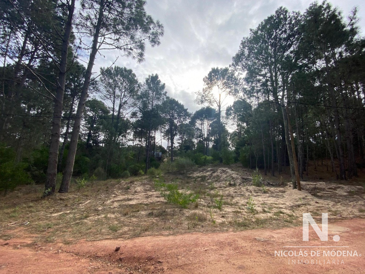 OPORTUNIDAD. TERRENO EN VENTA EN CLUB DEL LAGO, PUNTA BALLENA. 