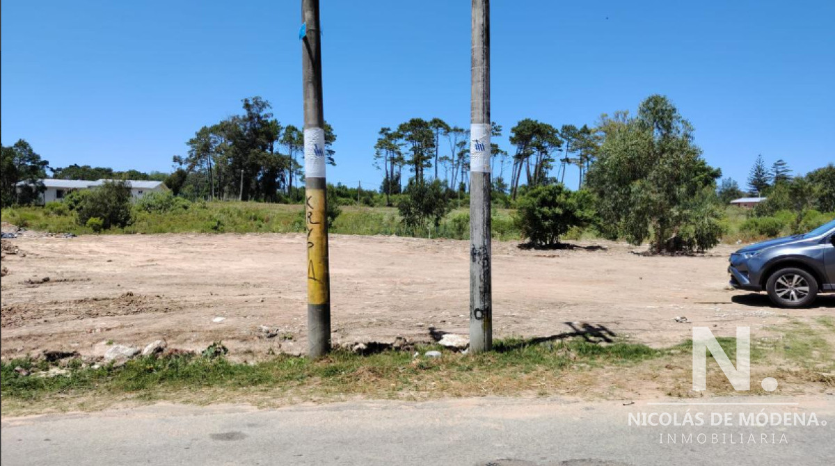 Golf - GoPunta - Portal Inmobiliario de Punta del Este - Maldonado