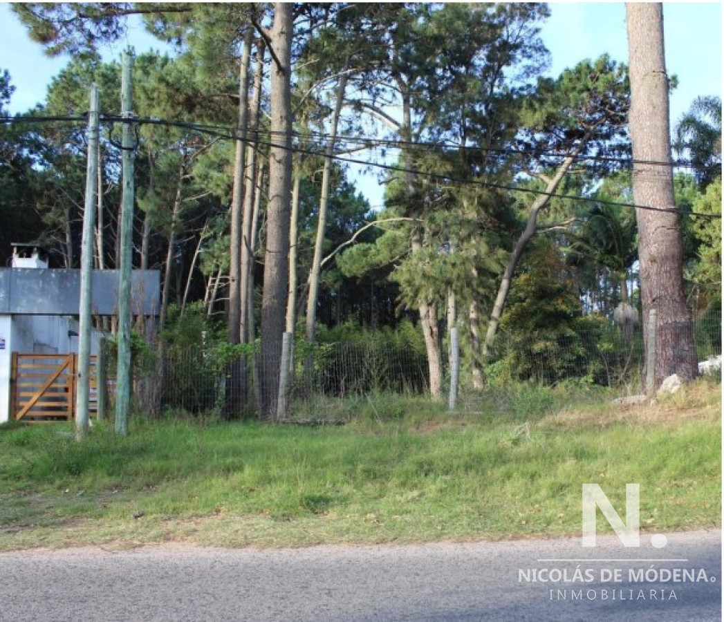 Pinares - GoPunta - Portal Inmobiliario de Punta del Este - Maldonado