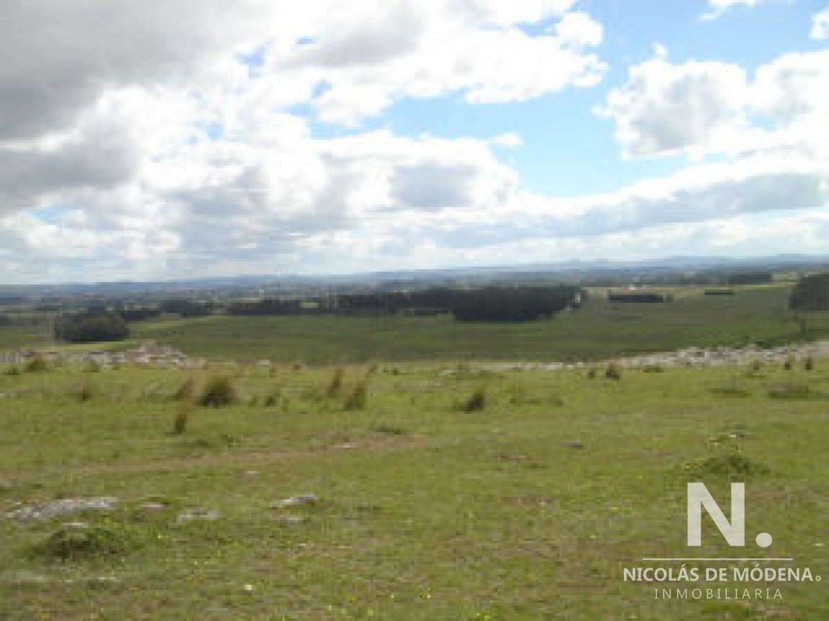 Camino Eguzquiza - GoPunta - Portal Inmobiliario de Punta del Este - Maldonado