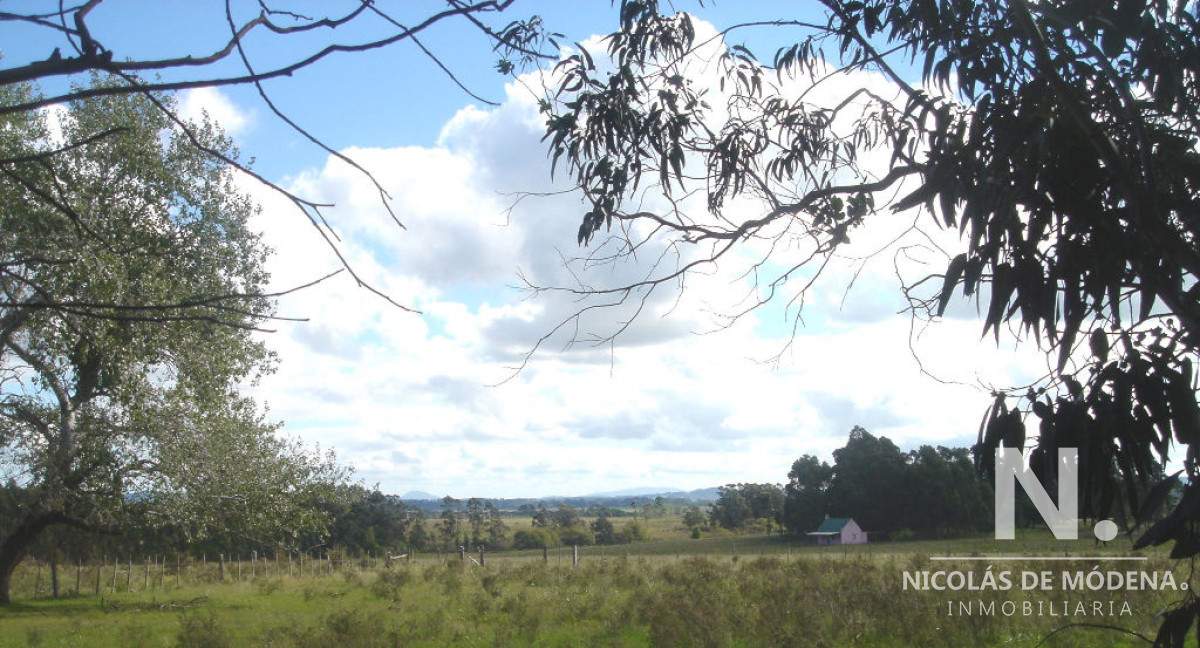 Camino Eguzquiza - GoPunta - Portal Inmobiliario de Punta del Este - Maldonado