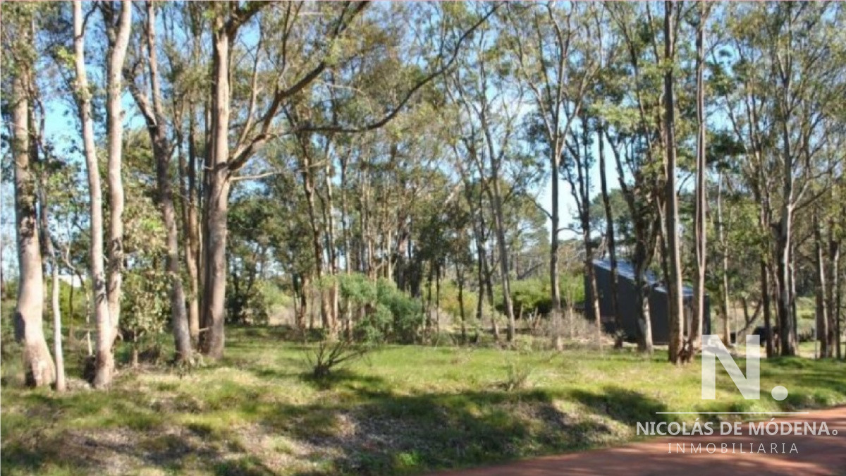 Barra Verde - GoPunta - Portal Inmobiliario de Punta del Este - Maldonado