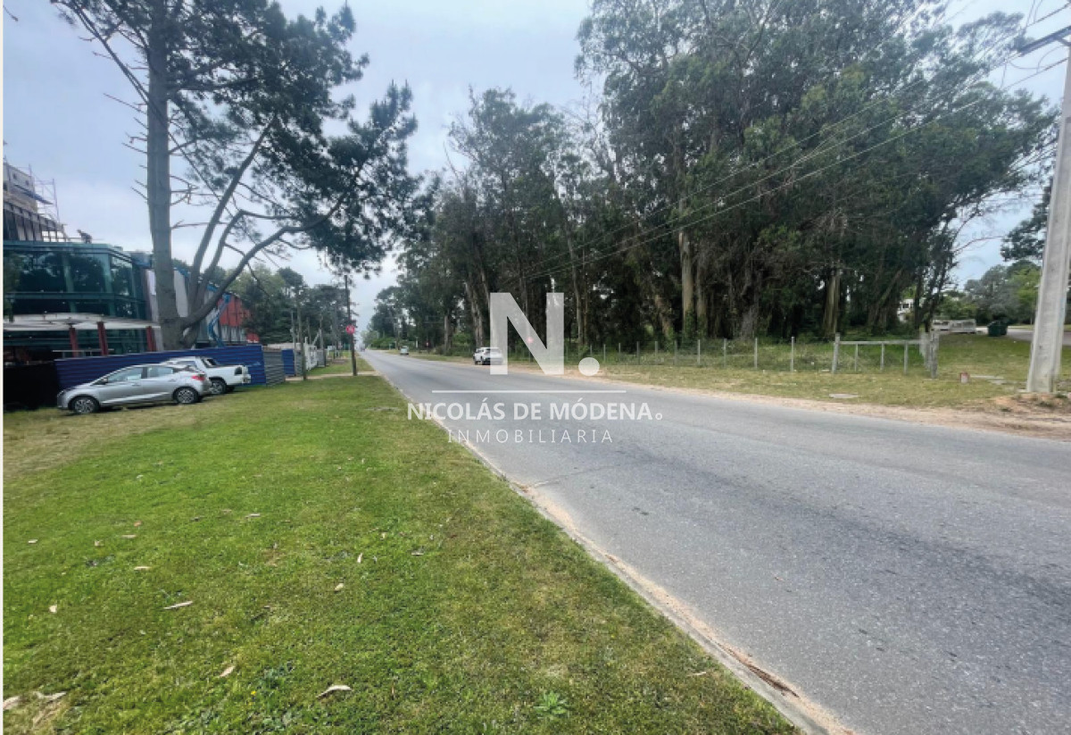 Pedragosa Sierra - GoPunta - Portal Inmobiliario de Punta del Este - Maldonado
