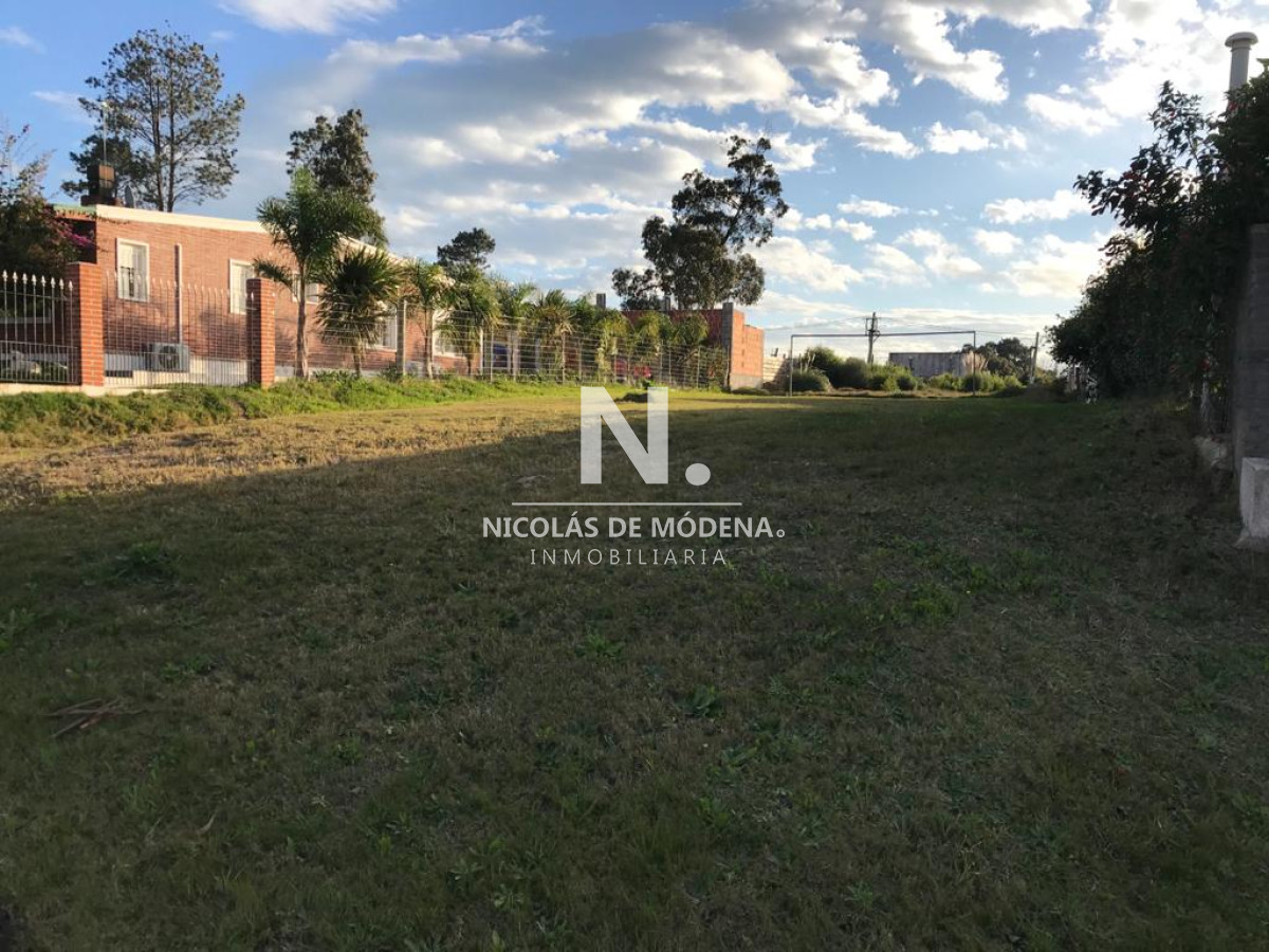 Terreno