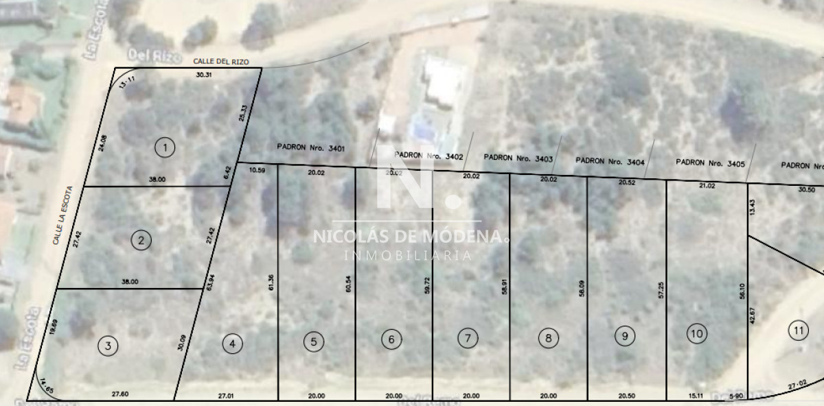 Tio Tom - GoPunta - Portal Inmobiliario de Punta del Este - Maldonado