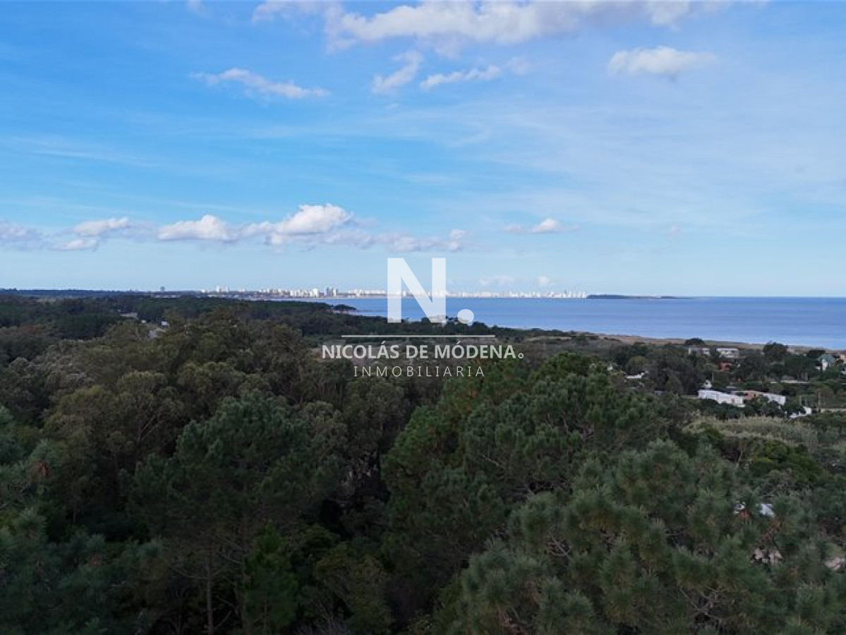 Lomo de la Ballena - GoPunta - Portal Inmobiliario de Punta del Este - Maldonado